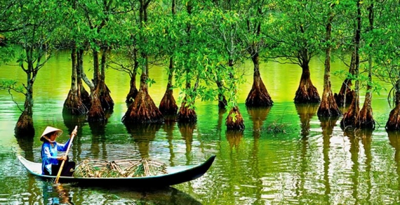 Can Gio National Parks & Reserve