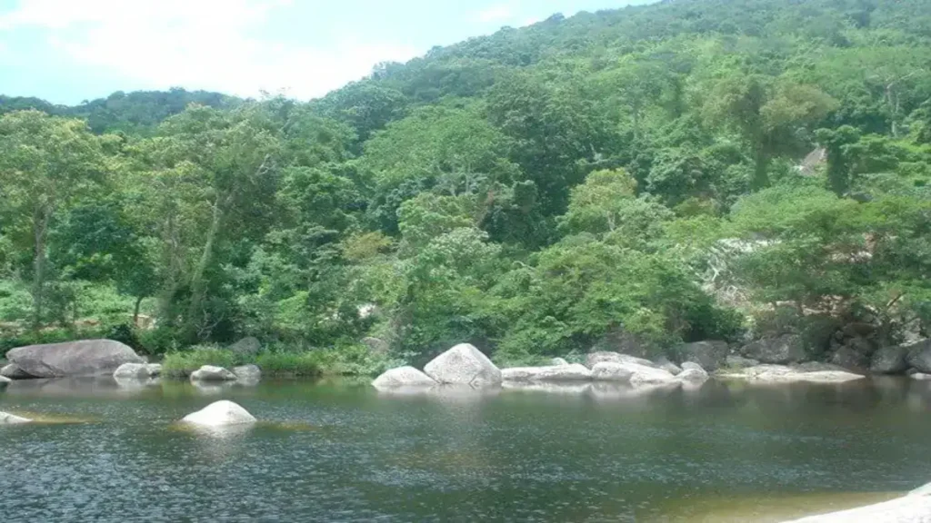 Chu Yang Sin Nature Reserve