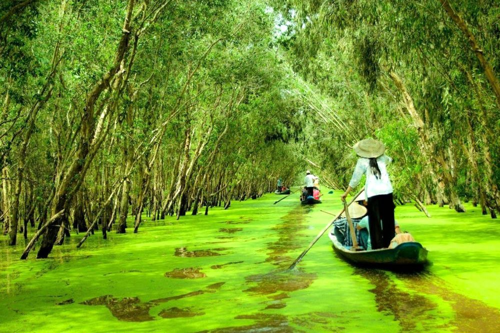 Exploring the National Parks & Nature Reserves in Red River Delta