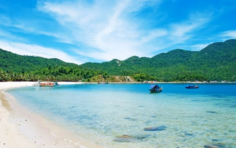 Cu Lao Cham Marine Park