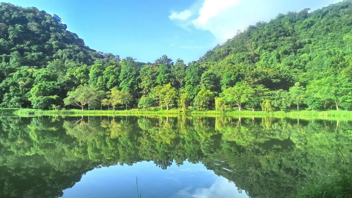 Cuc Phuong National Park: Vietnam’s First and Oldest Protected Area