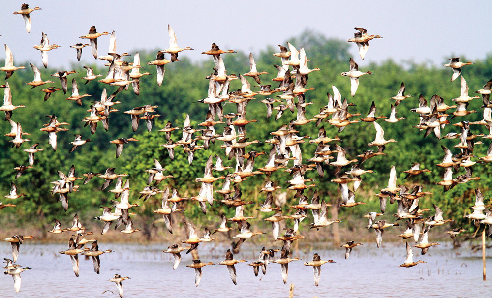 Muong La Nature Reserve