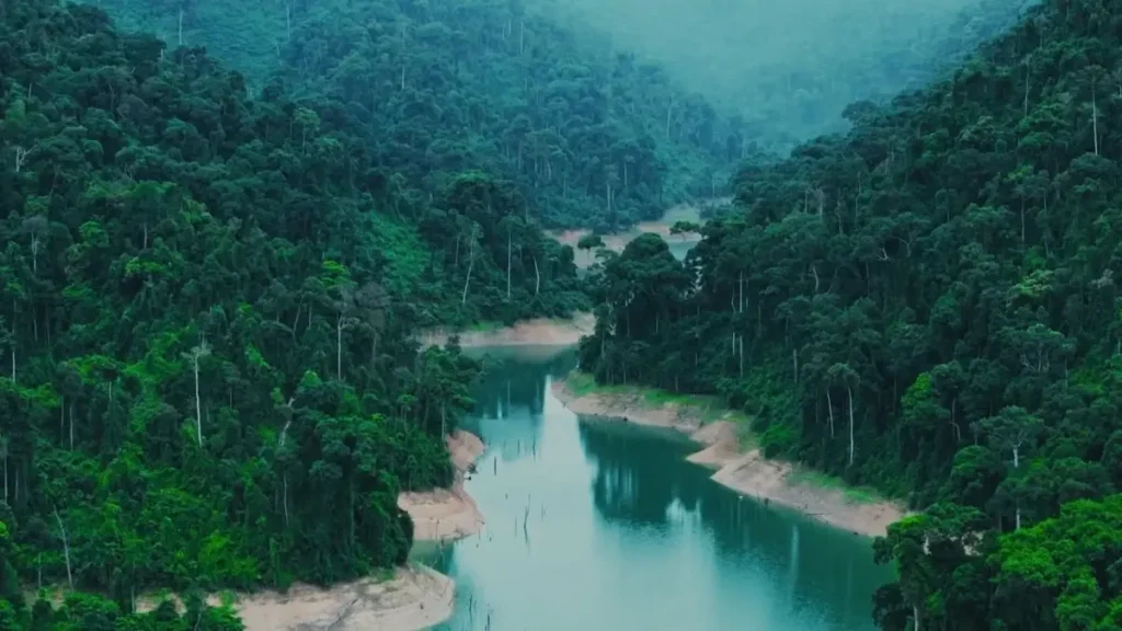 Song Thanh Nature Reserve