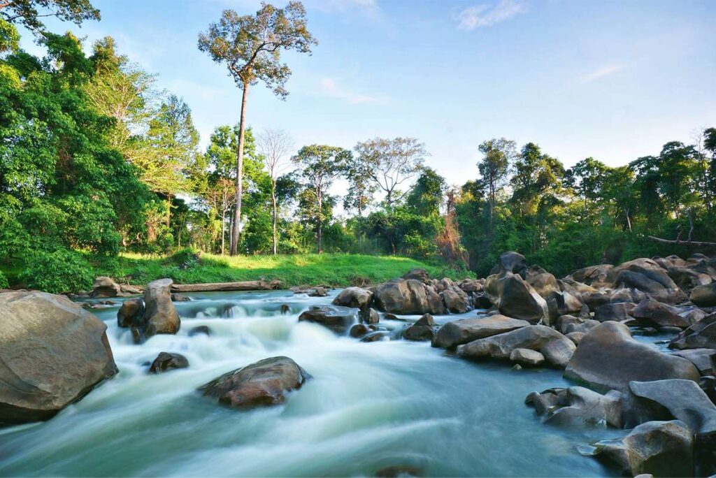 Yok Don National Park Vietnam