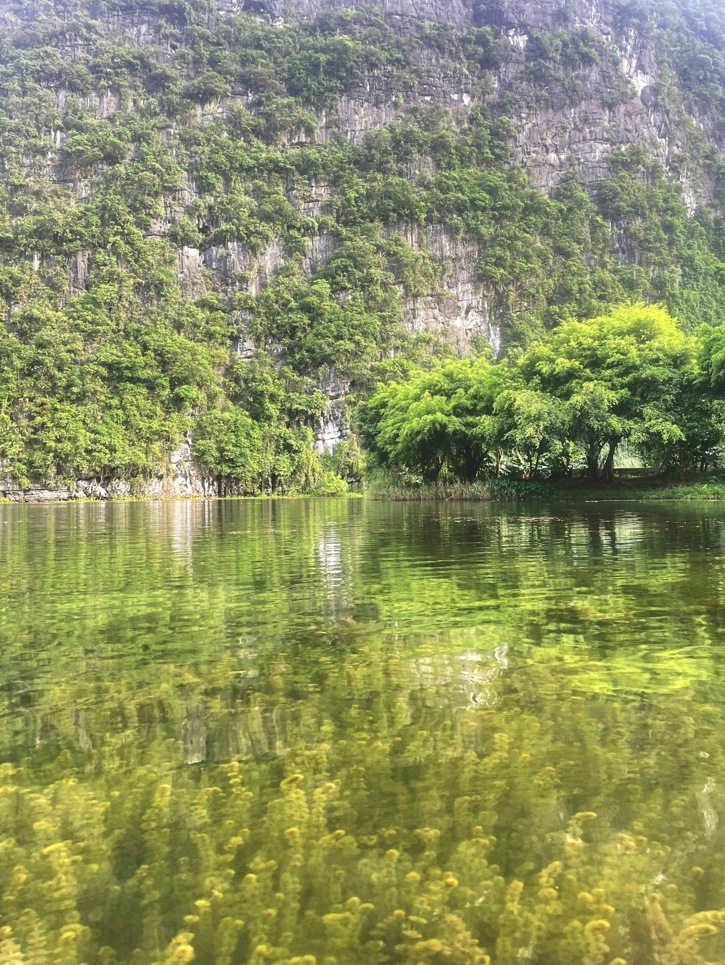 The Role of Conservation in Vietnam’s Parks