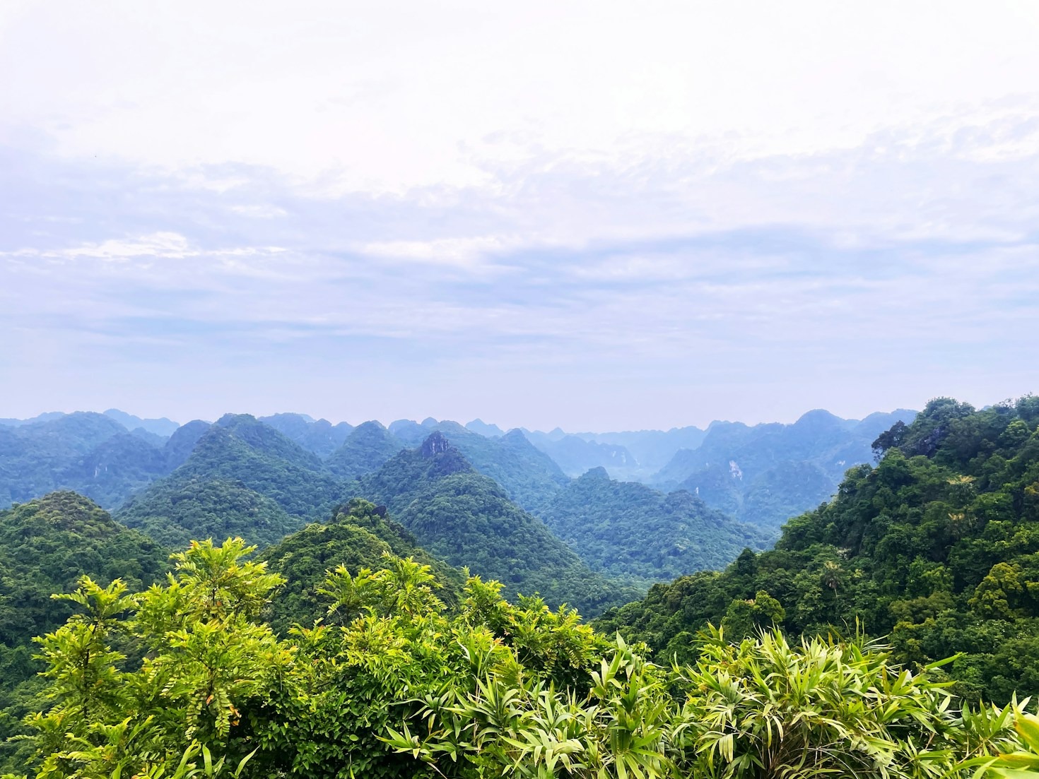 A Guide to Hiking Trails in Vietnam