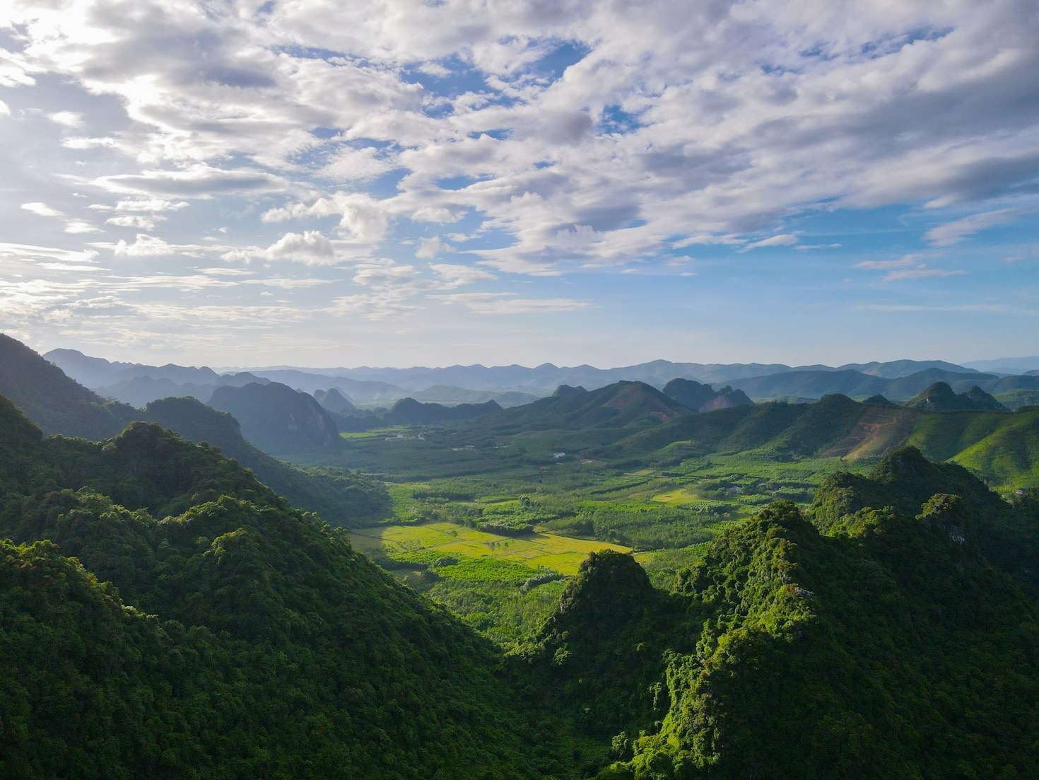 Birdwatching Hotspots in Vietnam’s Reserves