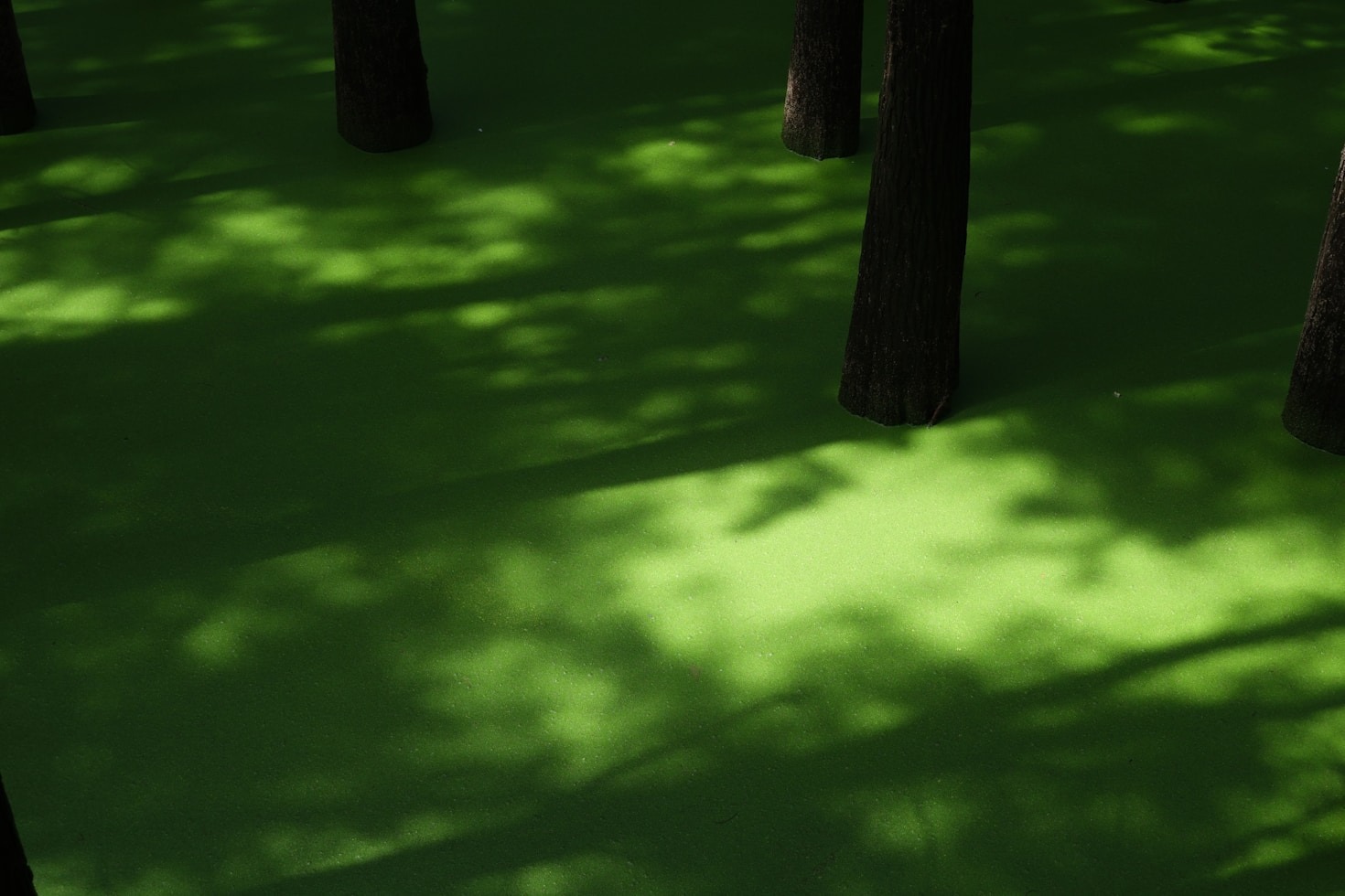 Unique Wildlife Found in Vietnam’s Protected Areas