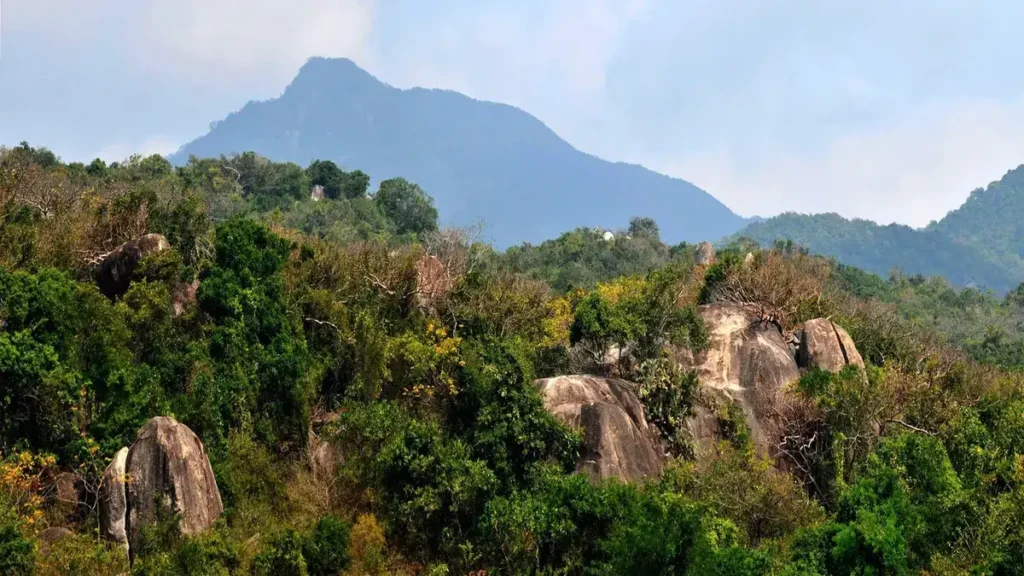 Nui Chua National Park Vietnam